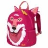Jack Wolfskin Little Jack Kids Rugzak Orchid -NL Rugzak Verkoopwinkel 2009222 2019 9 e460 little jack orchid